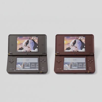 Nintendo DSi XL modded handhelds showing dual screens with emulators and homebrew firmware installed
